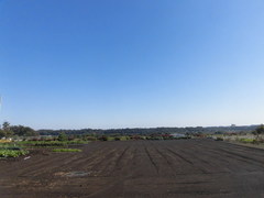 CIMG2102.jpg