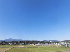 CIMG2173.jpg