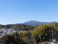 CIMG2393.jpg