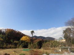 CIMG2541.jpg