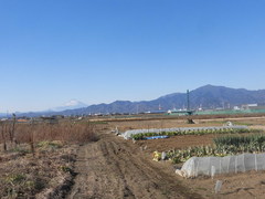 CIMG2733.jpg