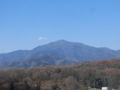 CIMG2760.jpg