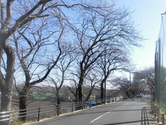 CIMG2806.jpg