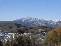 CIMG2953.jpg