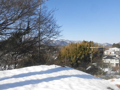 CIMG2954.jpg