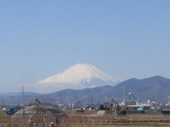 CIMG3108.jpg