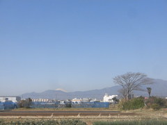 CIMG3239.jpg