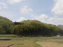 CIMG3656.jpg