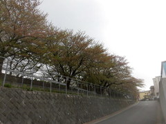CIMG3667.jpg