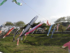 CIMG3743.jpg