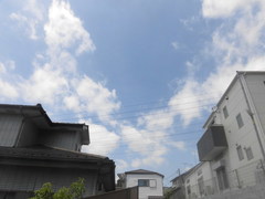 CIMG3783.jpg