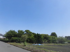CIMG4357.jpg