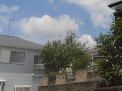CIMG4548.jpg