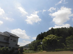 CIMG4615.jpg
