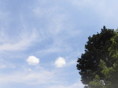CIMG4635.jpg