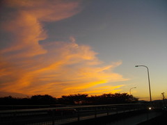 IMGP6930.jpg